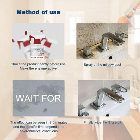 Deodorizing & Purifying Household Cleaning Foam Spray